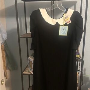 CeCe Black Mini Dress with White Peter Pan Collar